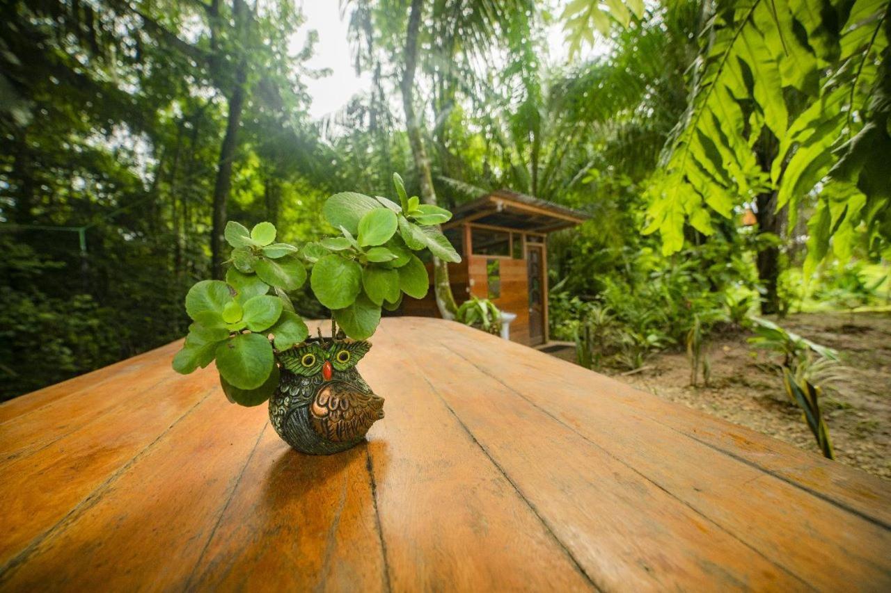 ホテル Rosa'S House プエルト・マルドナード エクステリア 写真